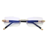 VisionGo™
